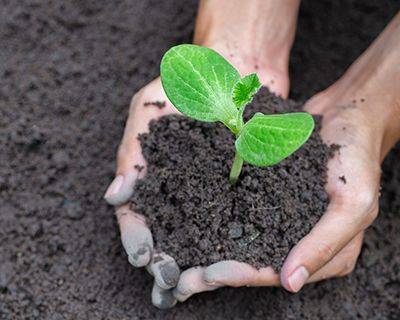 Как восстановить почву после весеннего паводка: разъясняют эксперты ФГБУ «Центр оценки качества зерна»