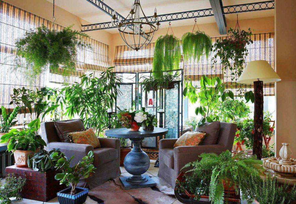 Дизайн сада внутри дома: зелень и релаксация