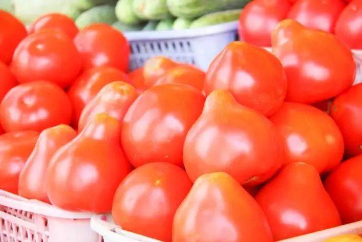 Как сделать лучшее удобрение для томатов, которое дает более крупные плоды и отпугивает слизней