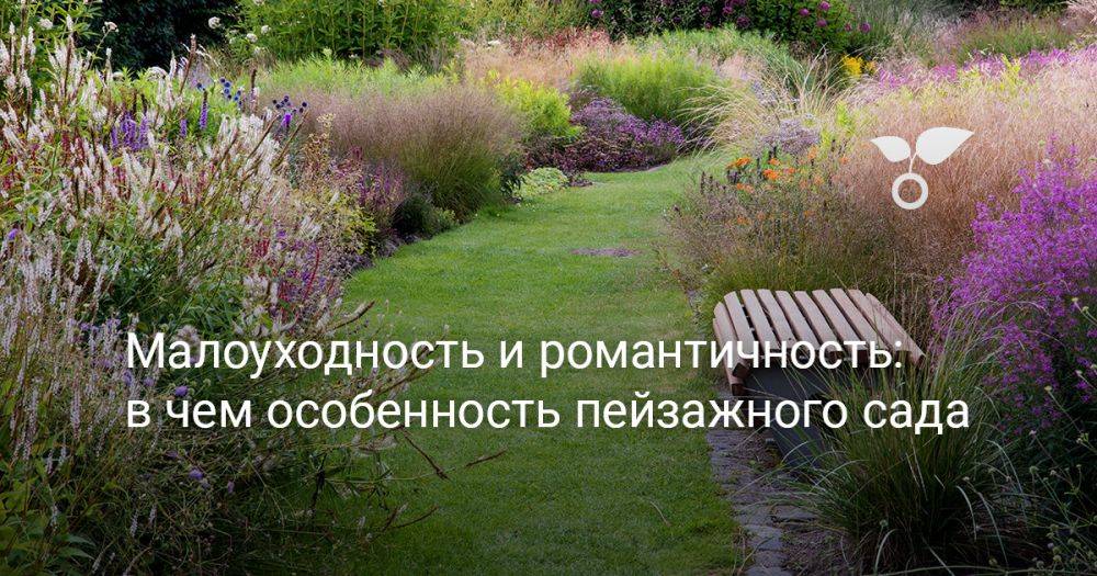 Малоуходность и романтичность — в чём особенность пейзажного сада?