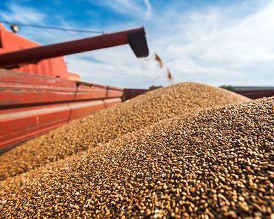 Цены на пшеницу вернутся к росту не скоро